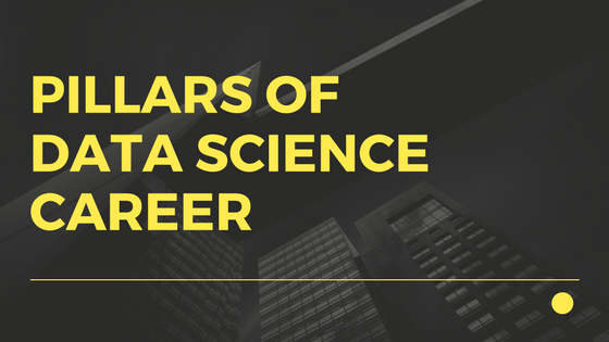 5 pillars of data scientist career